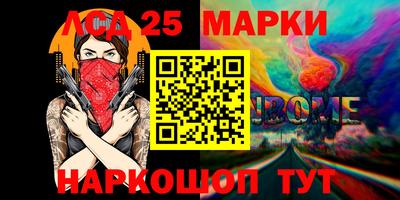 индика Комсомольск-на-Амуре