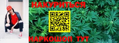 индика Комсомольск-на-Амуре