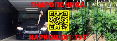 индика Комсомольск-на-Амуре