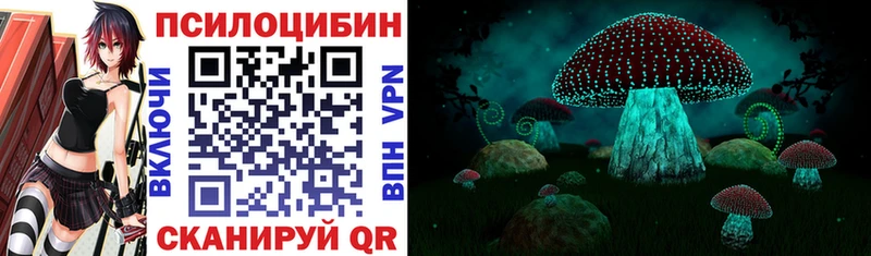 Псилоцибиновые грибы Cubensis где купить наркотик Лабинск