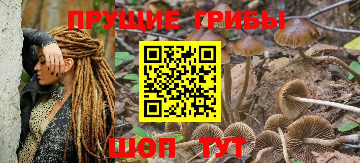 Псилоцибиновые грибы мицелий Лабинск